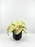 Elegant White
