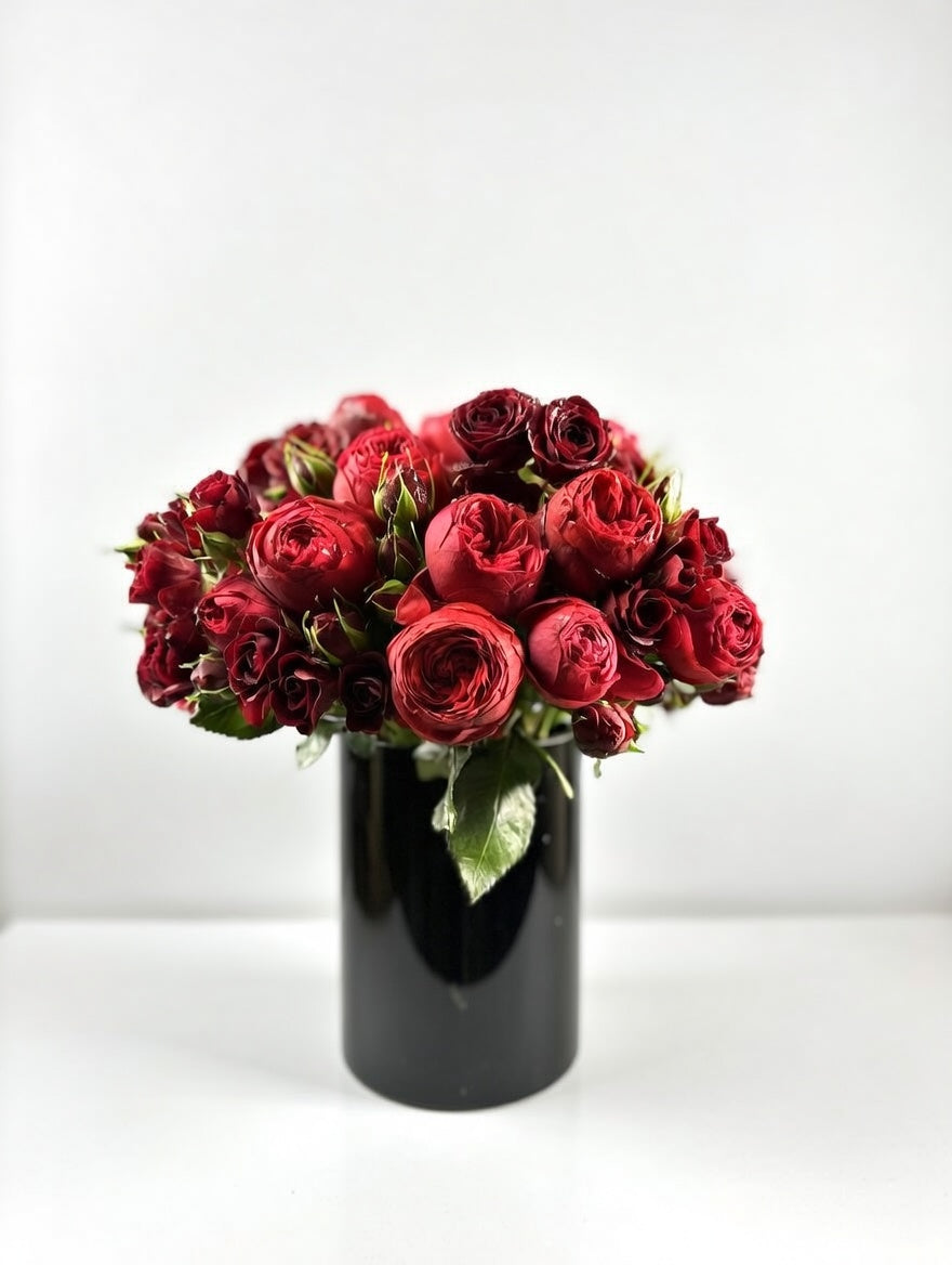 Rich Red