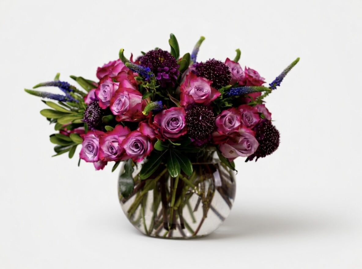 The Aubergine