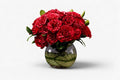 The Red