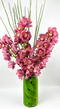 Pink Cymbidium