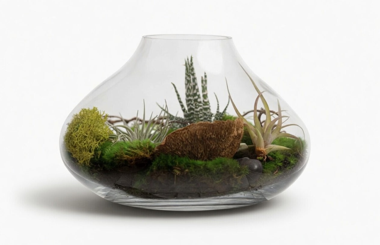 Small Terrarium