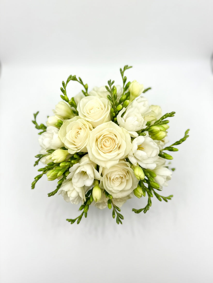 Elegant White