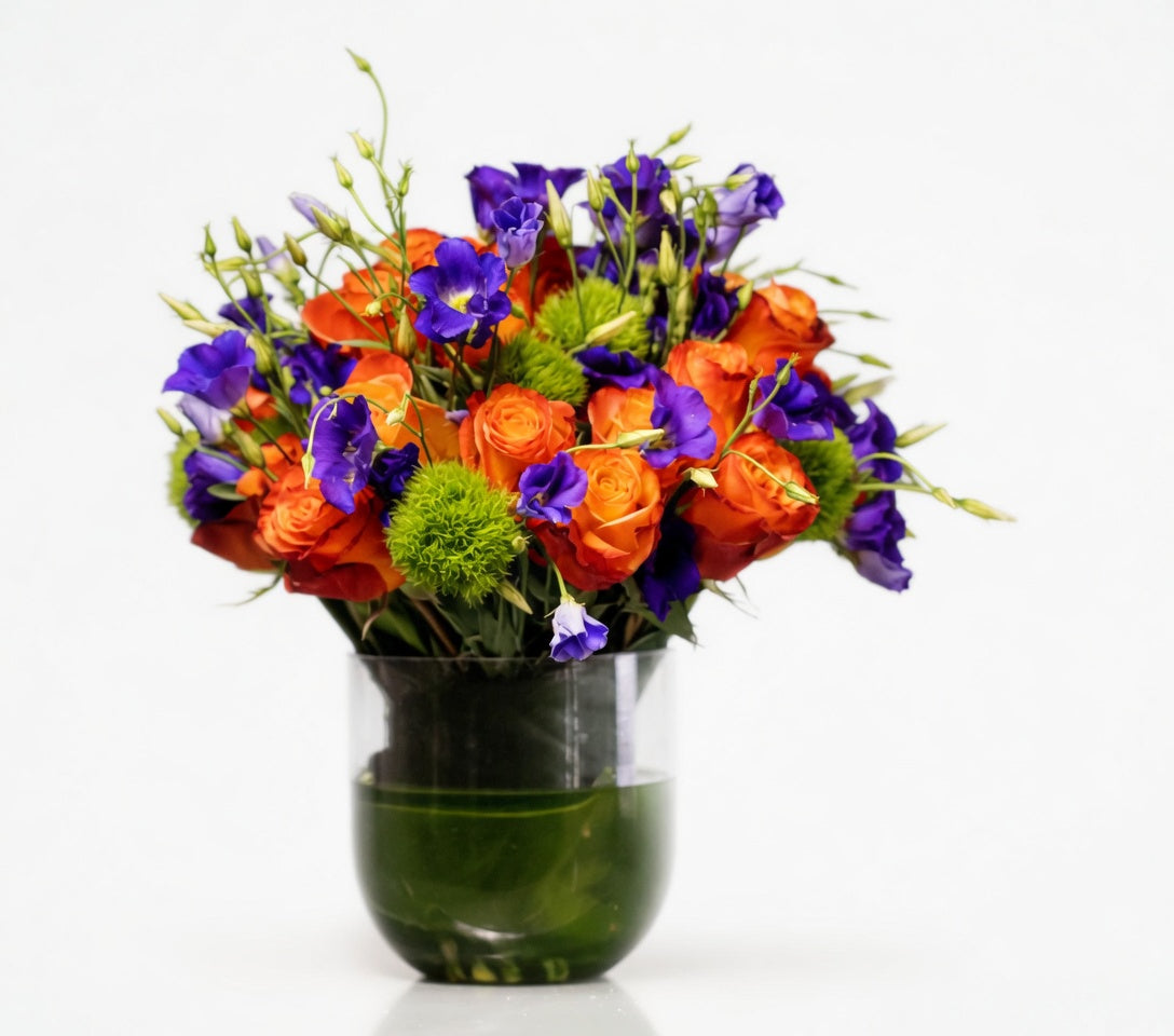 Purple & Orange