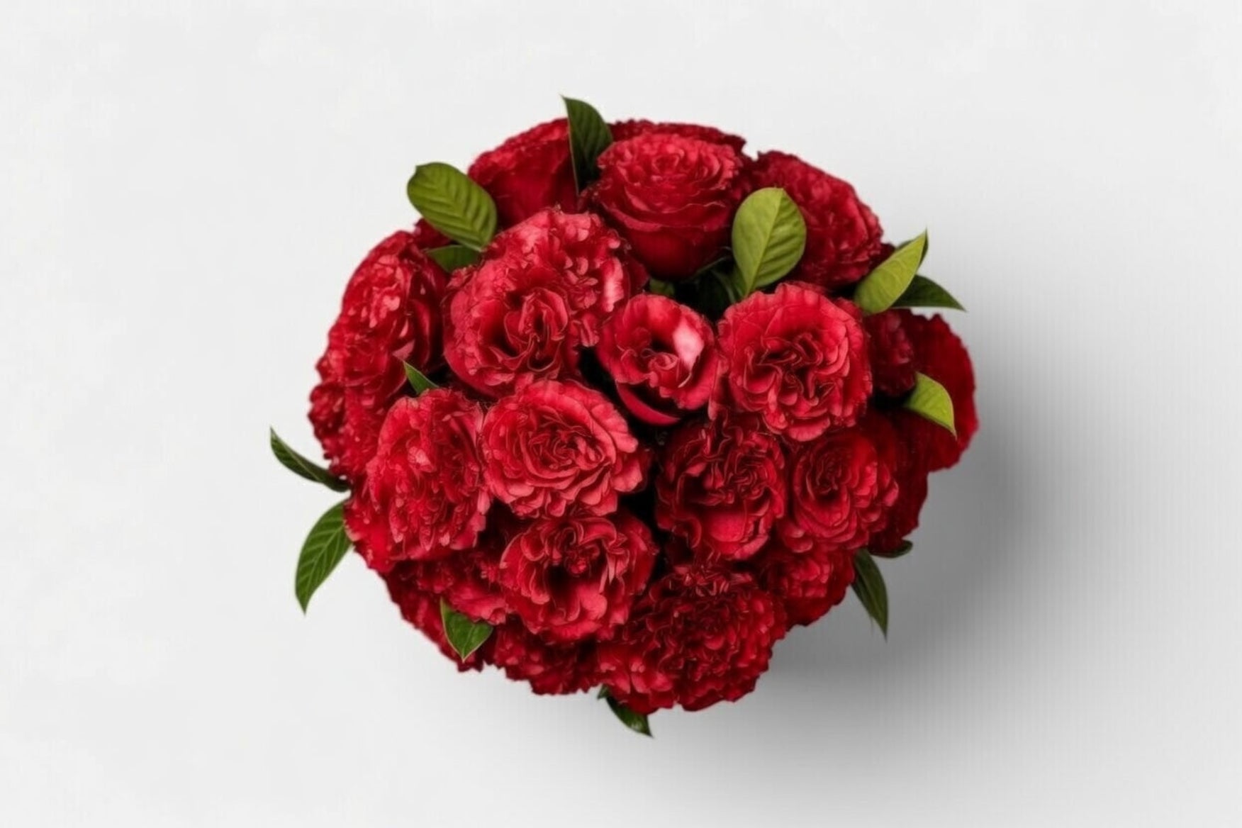 The Red