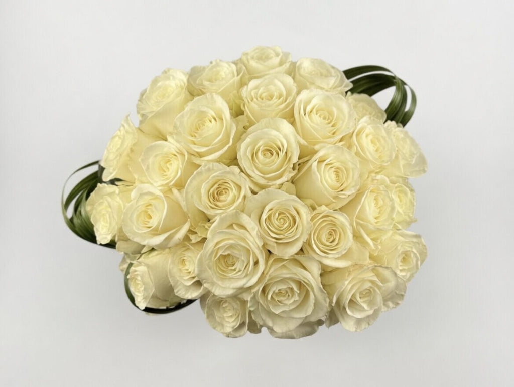 Modern White