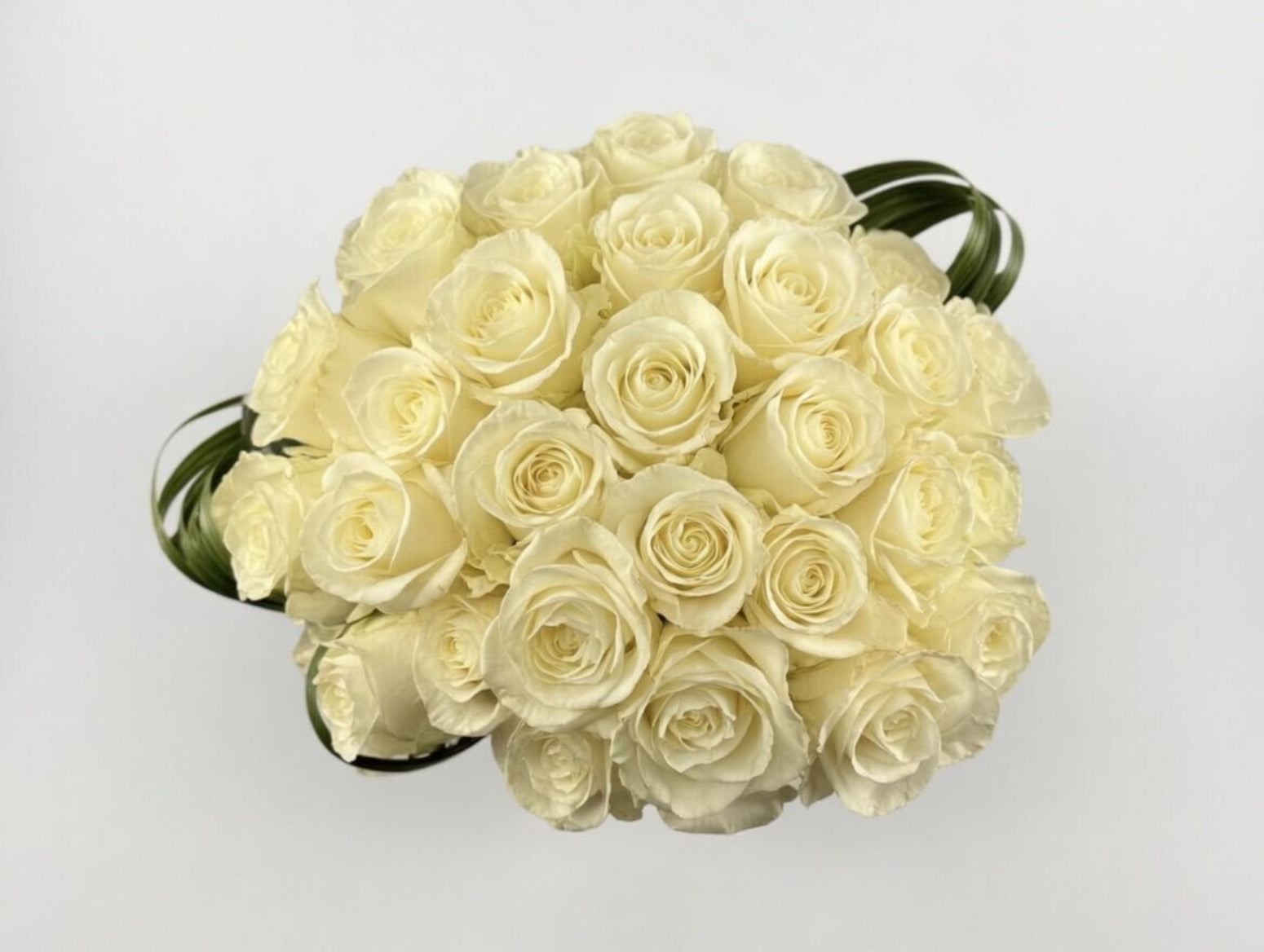 Modern White
