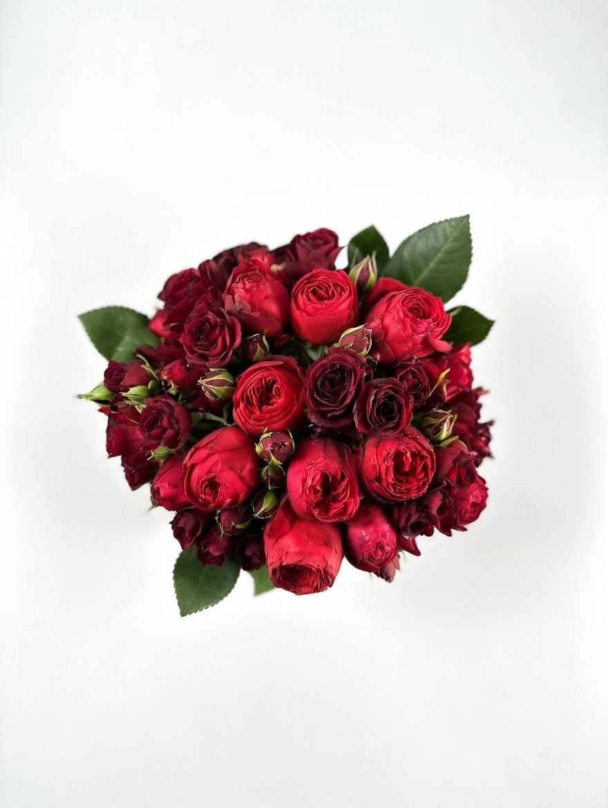 Rich Red