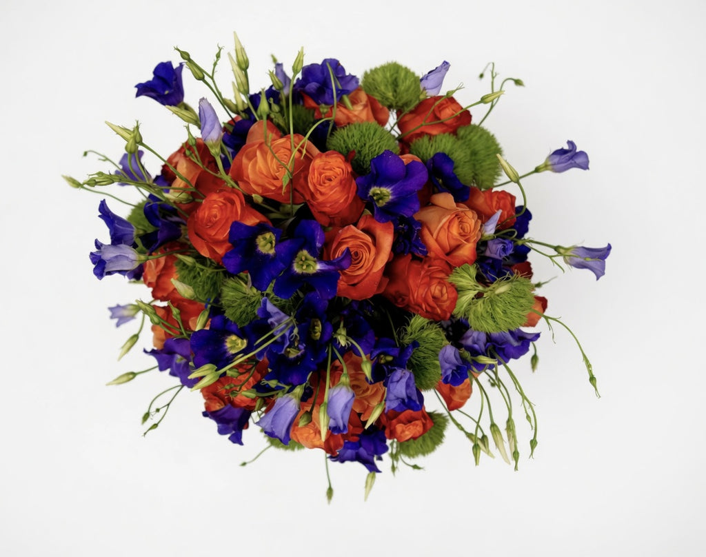 Purple & Orange