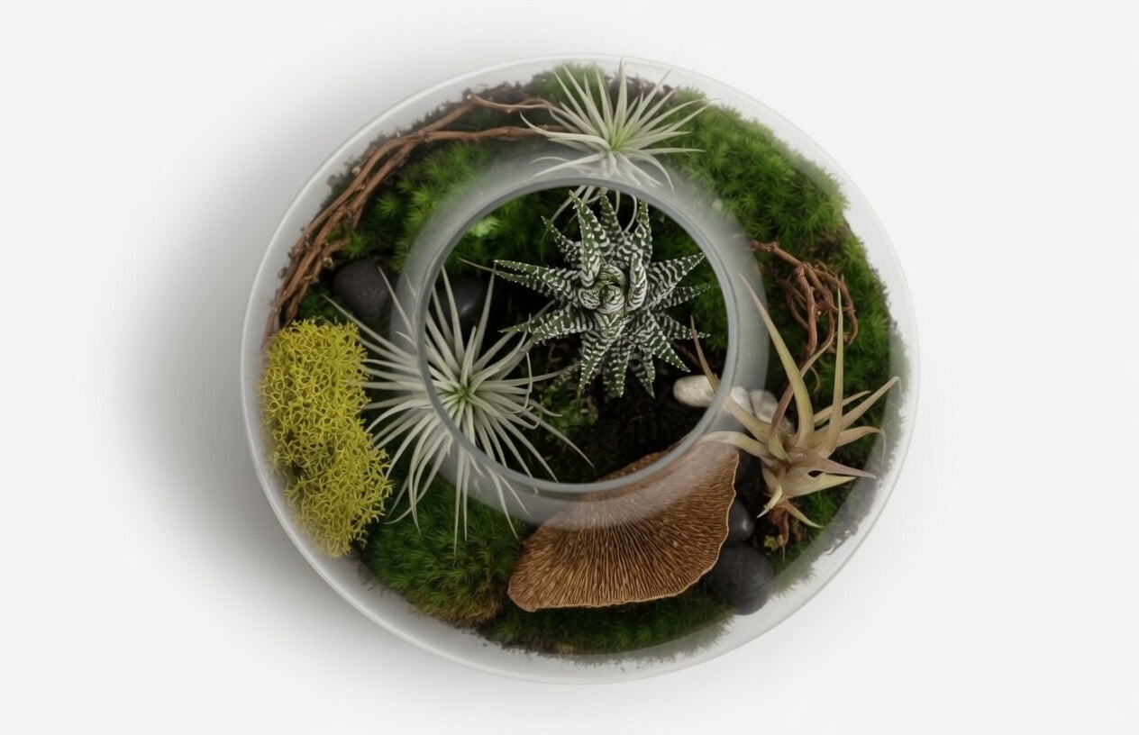 Small Terrarium