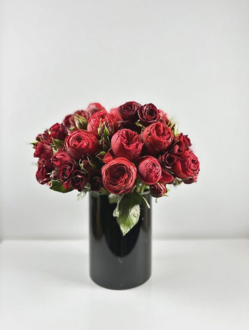 Rich Red