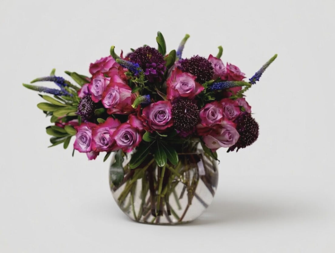 The Aubergine