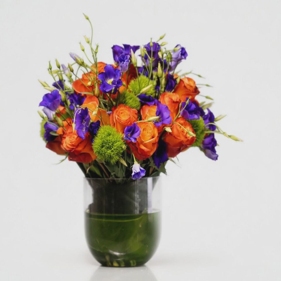 Purple & Orange