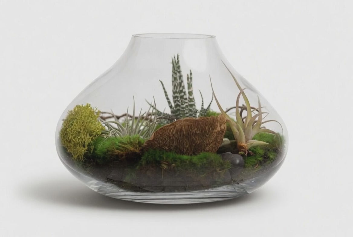 Small Terrarium